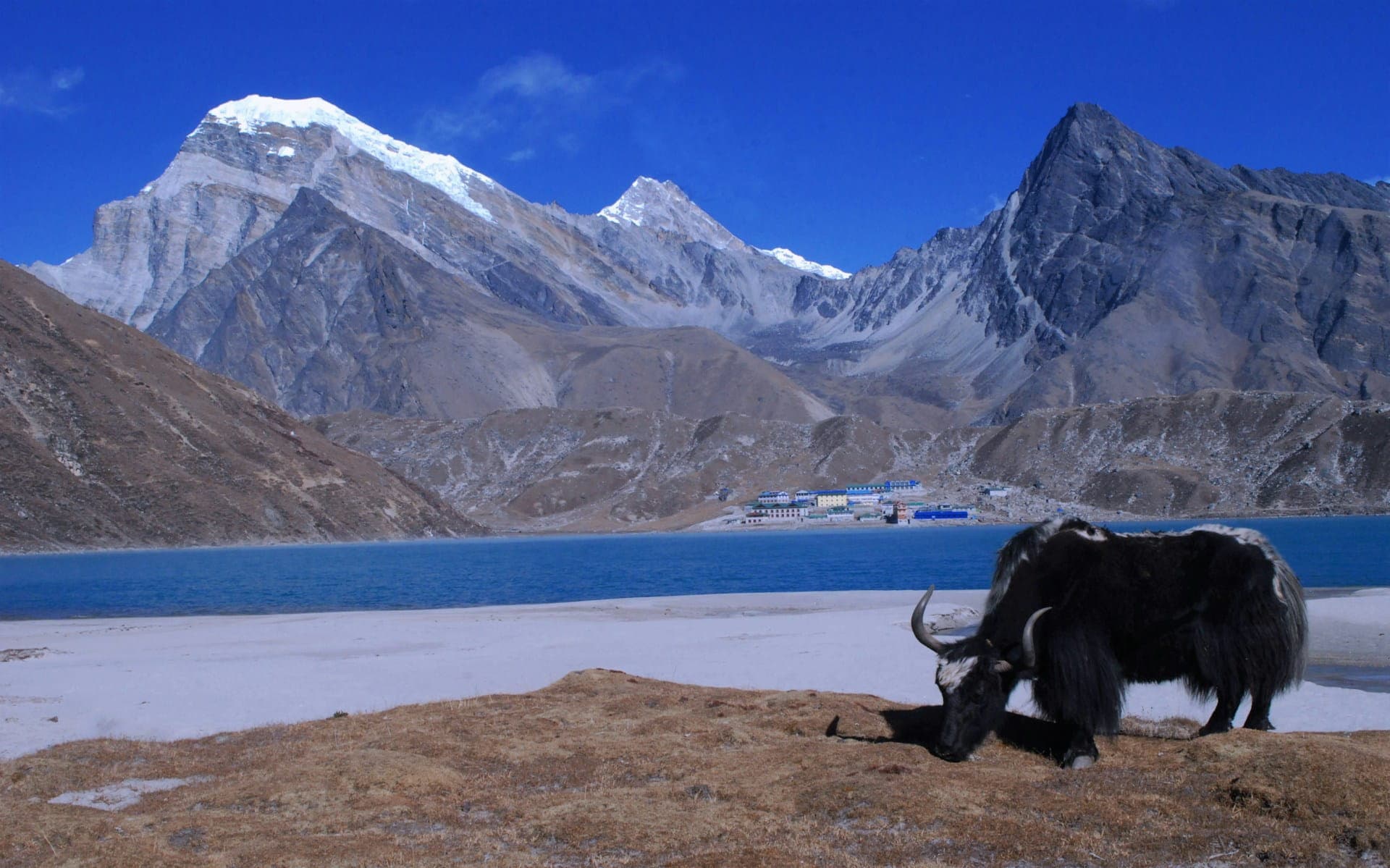 Gokyo Peak Nepal Trek 2027: Route, Itinerary & Difficulty