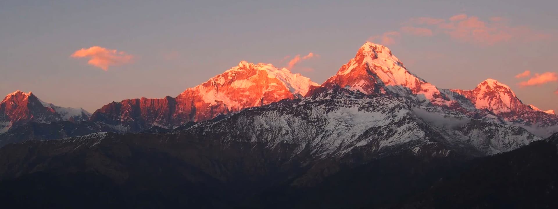 Image of a popular package