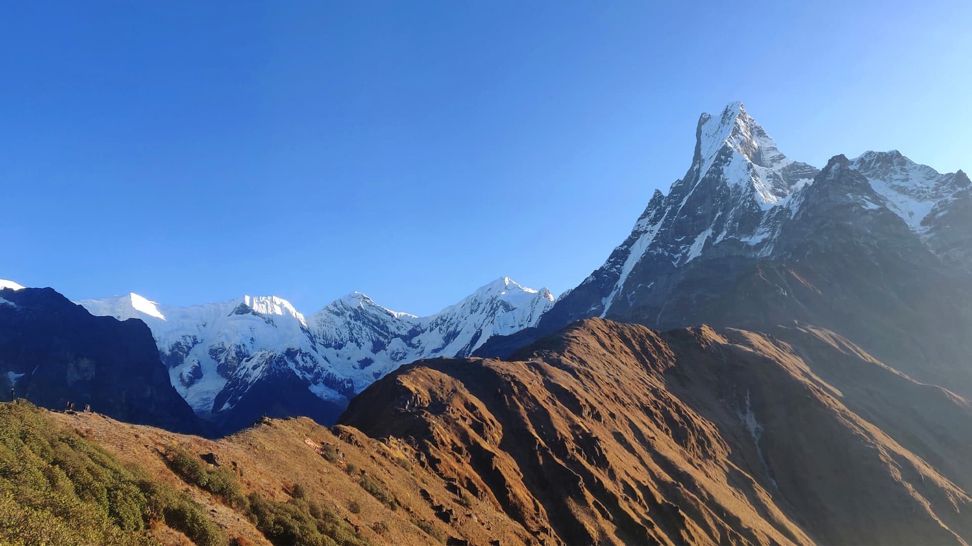 Image of a popular package