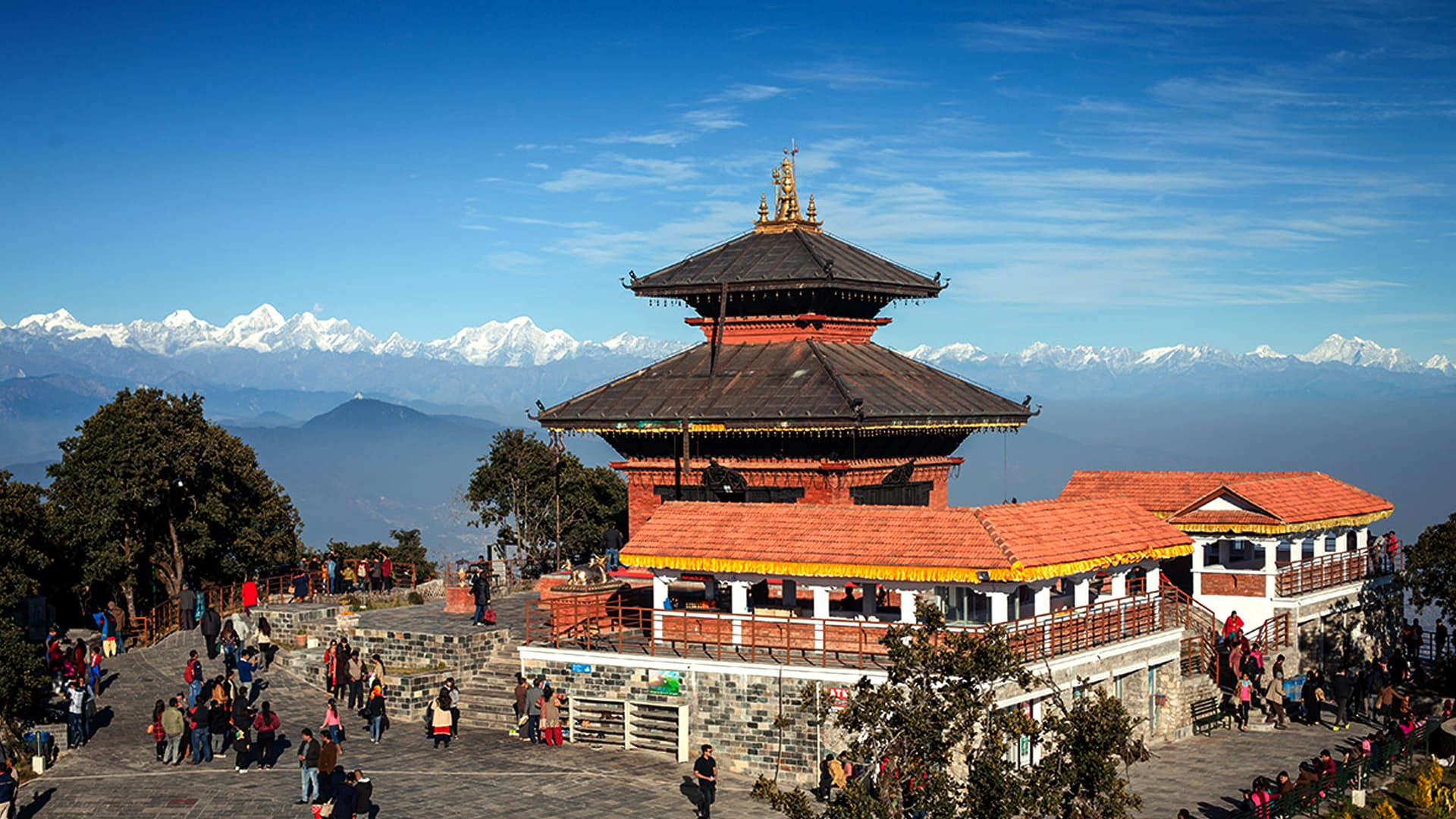 Image of a popular package