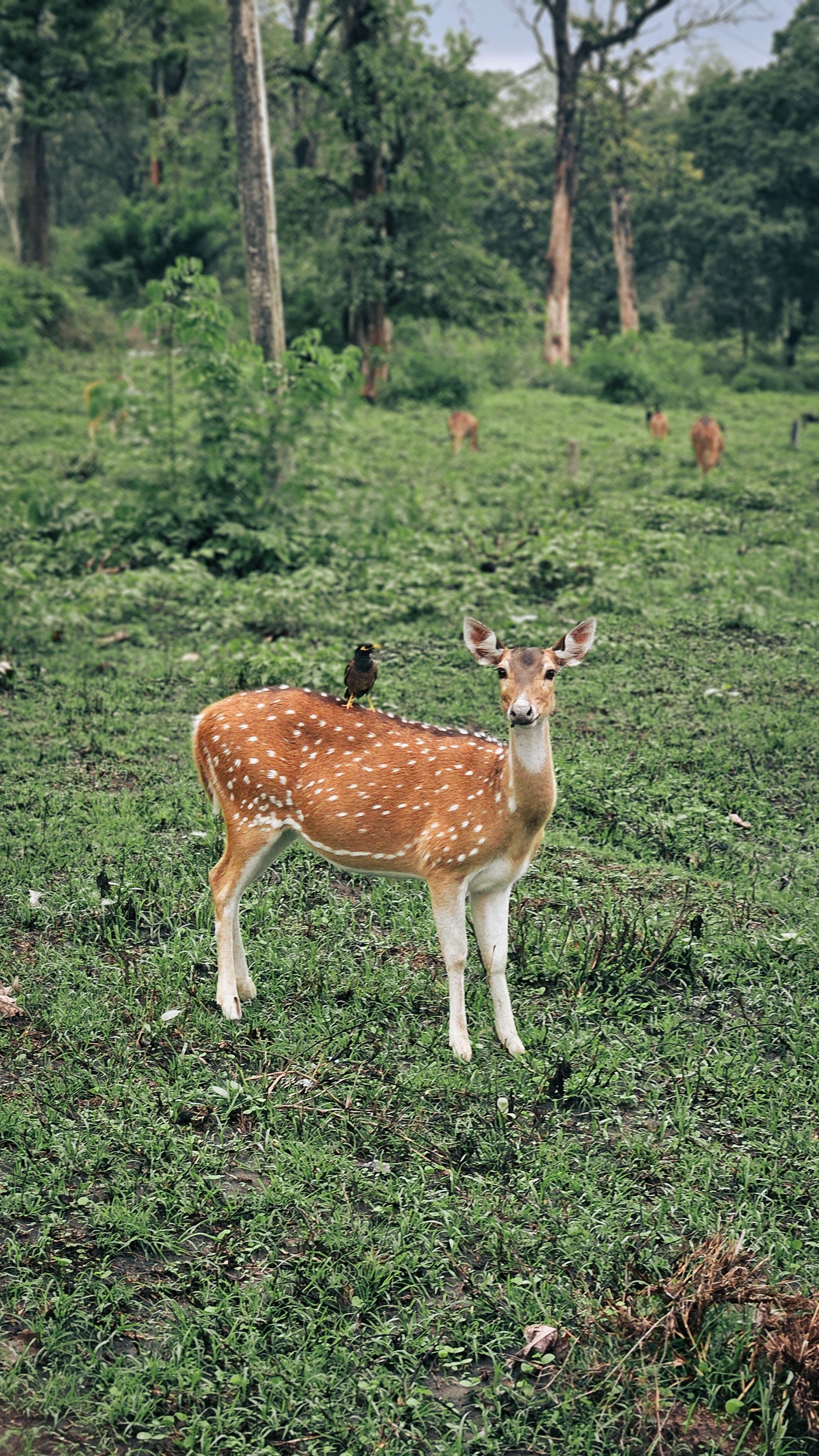 Package image 3