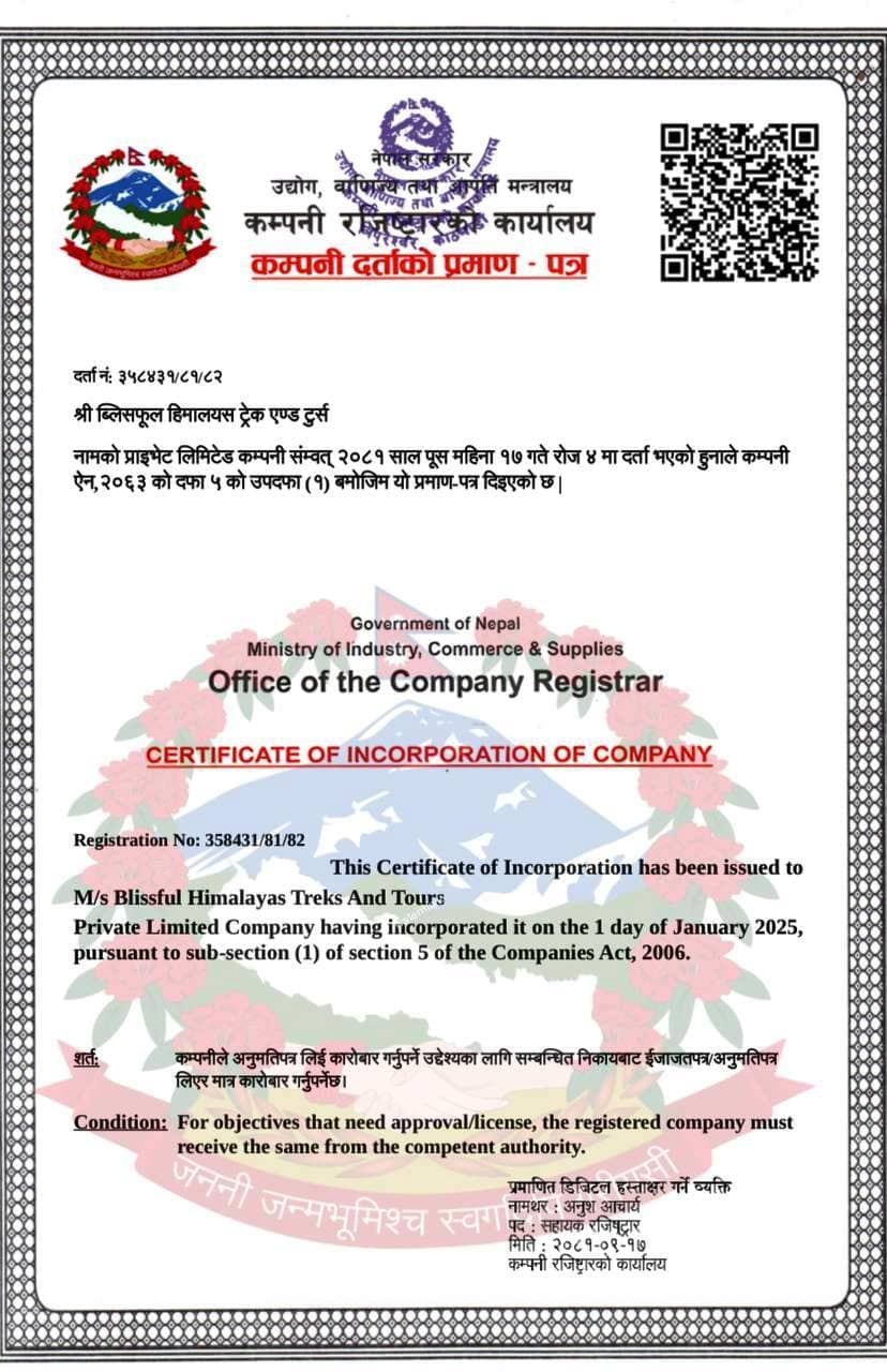 Company Registration