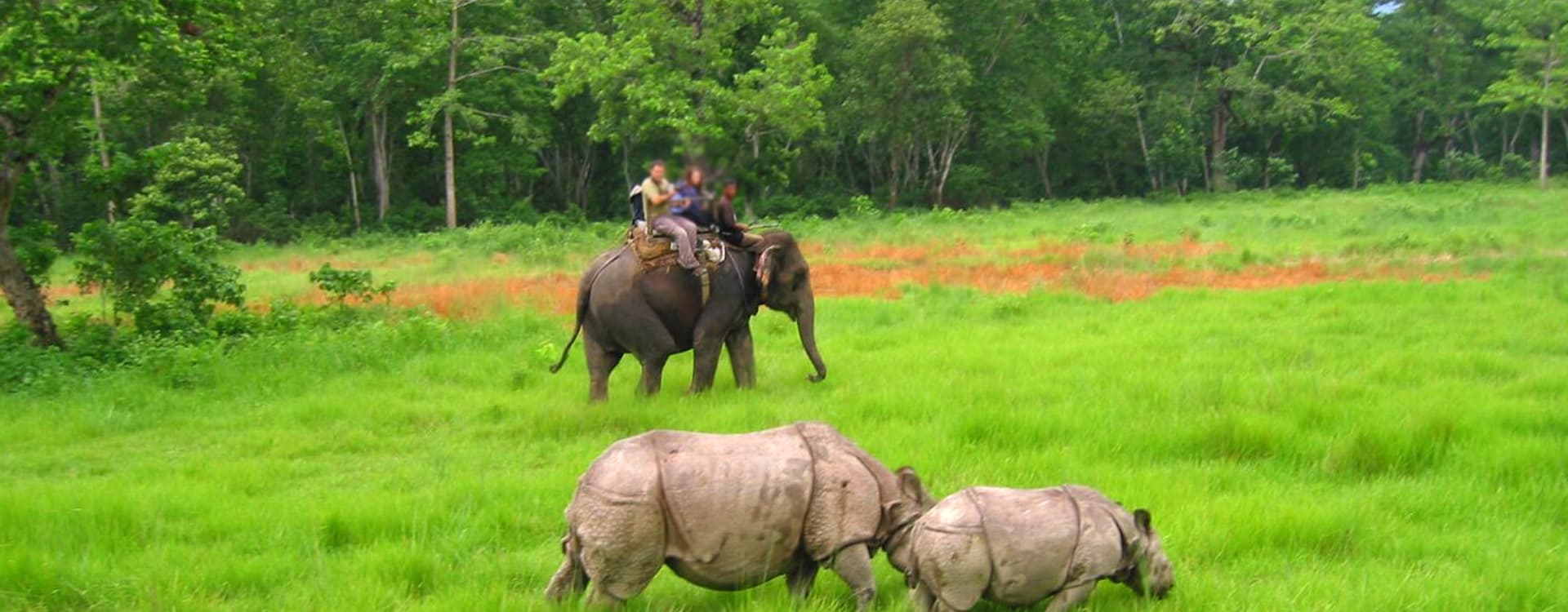 Exploring Nepal’s Rich Wildlife & Natural Beauty