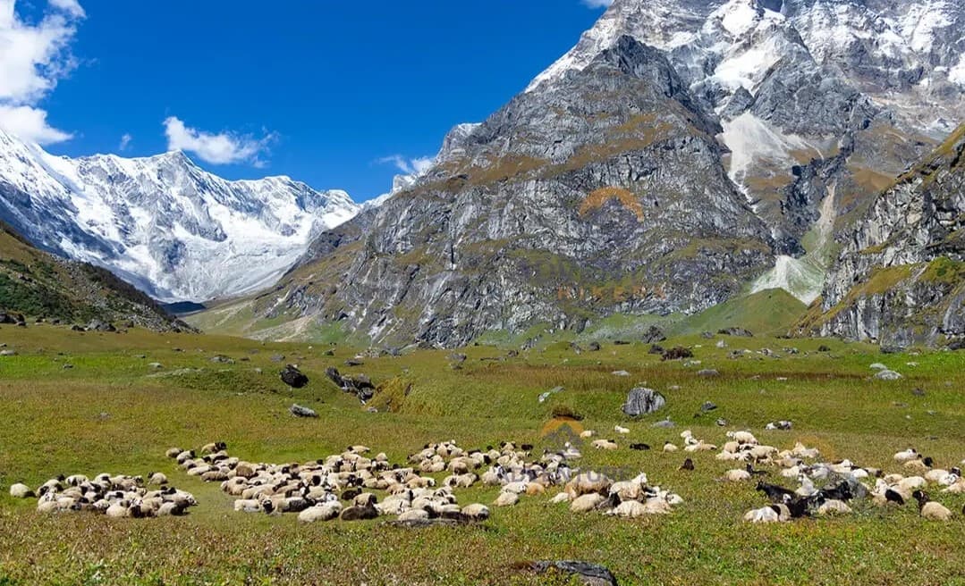Api Himal Base Camp Trek |18 Days Remote Himalayan Adventure