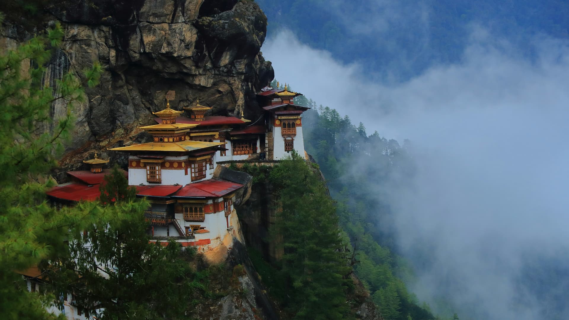 Bhutan Birding & Cultural Tours:Explore the Eastern Himalayas