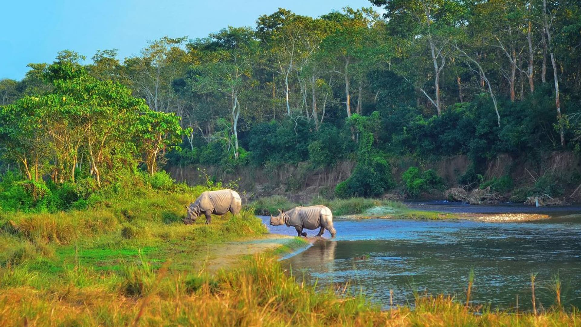Chitwan 2 Night 3 Day Adventure Tour