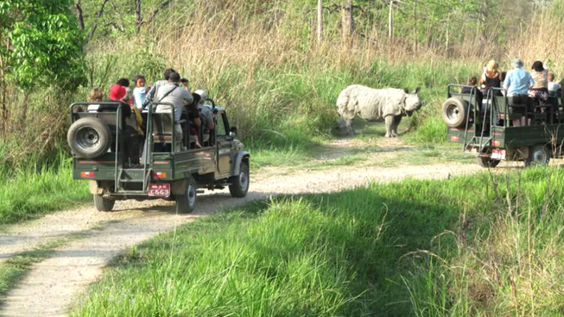 Chitwan 3 Nights 4 Days Tour
