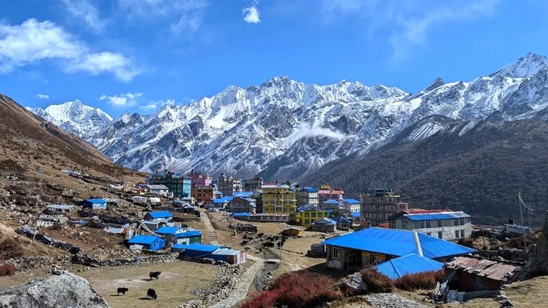 Langtang Valley Trek