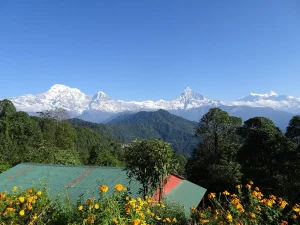 Australian Camp Hike