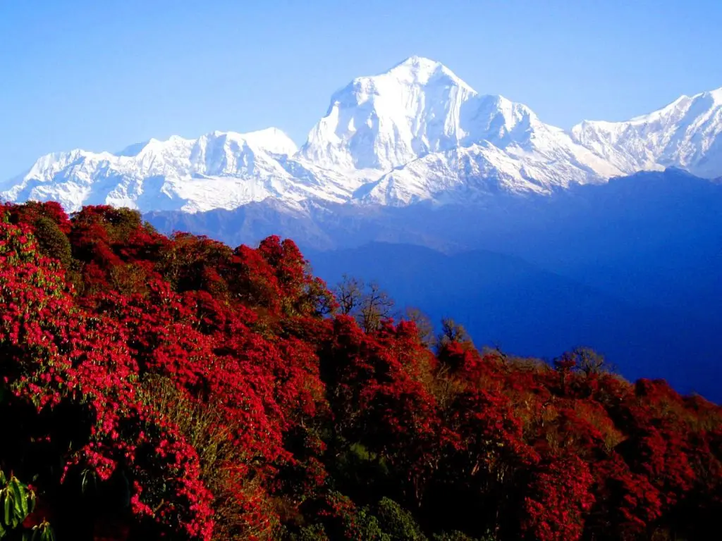 Trekking in Nepal in March in trekking blogs